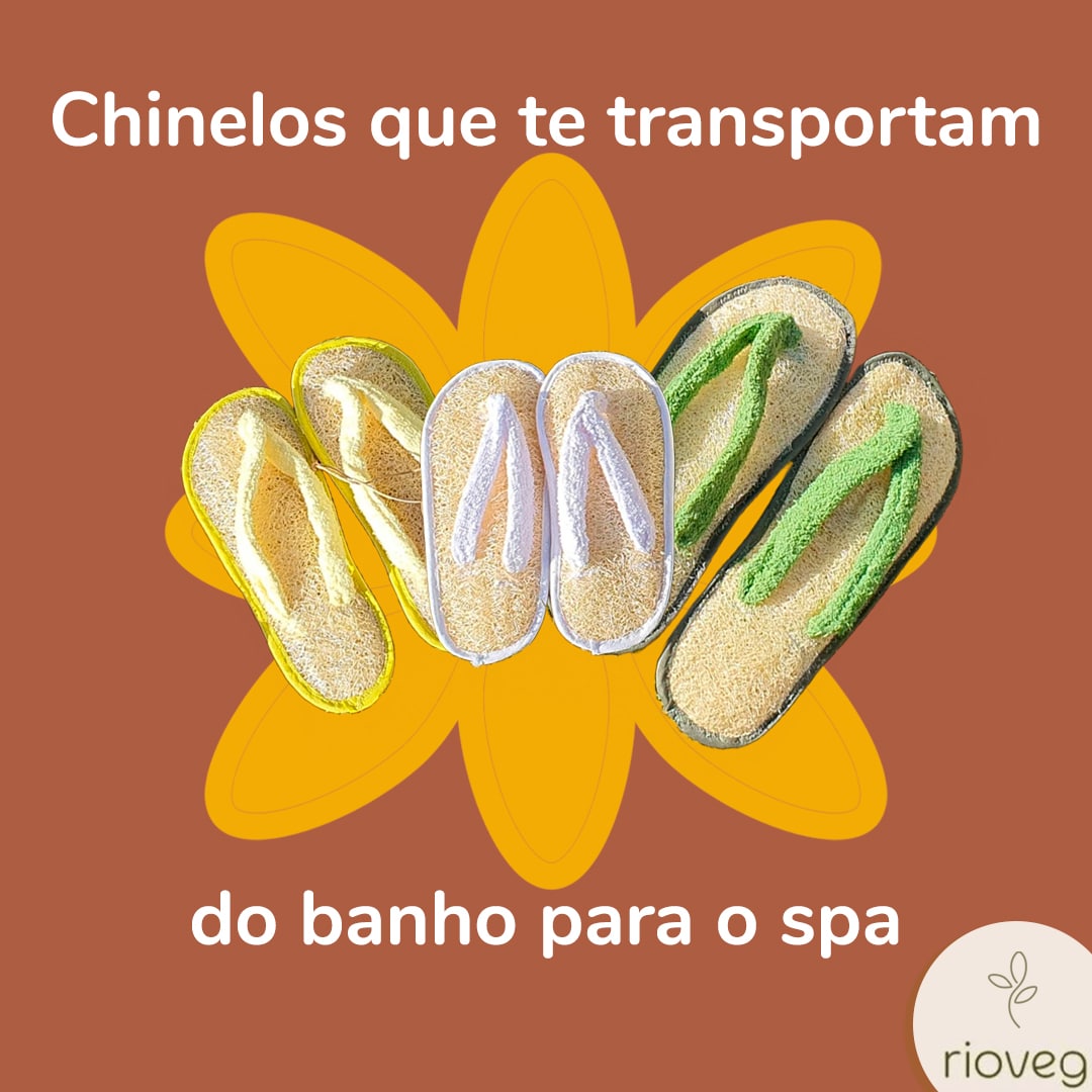 Post 04 - Rioveg