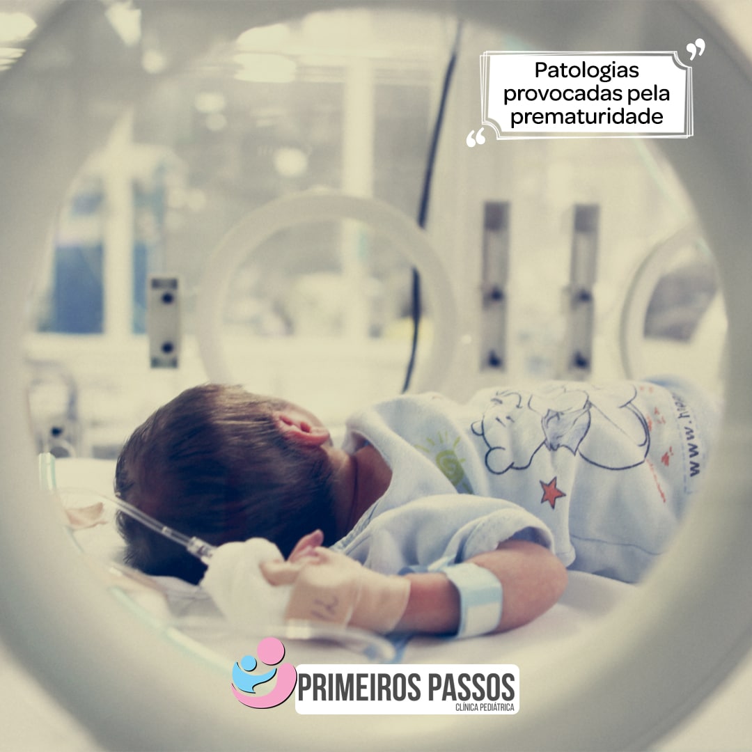 Post 08 - Primeiros Passos